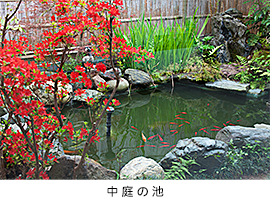 中庭の池